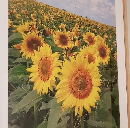 Apartament Przystan Zegrze